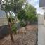 4 bedroom detached house for sale shia nicosia 1190524 thumbnail 5211267
