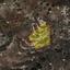 land for sale dora limassol 8415524 thumbnail 14929310