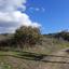 land for sale meladia paphos 1907524 thumbnail 7348175