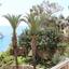 4 bedroom detached house for sale peyia paphos 1515624 thumbnail 5581641