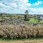 land for sale livadia larnacas larnaca 1036624 thumbnail 5612881