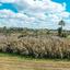 land for sale livadia larnacas larnaca 1036624 thumbnail 5612884