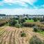 land for sale livadia larnacas larnaca 1036624 thumbnail 5612888
