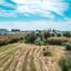 land for sale livadia larnacas larnaca 1036624 thumbnail 5612896