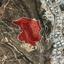 land for sale ypsonas limassol 929624 thumbnail 15602632
