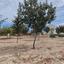 plot for sale agios athanasios limassol 1737624 thumbnail 5777748