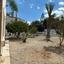 4 bedroom detached house for sale ayia napa famagusta 7660724 thumbnail 14372320