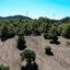 land for sale kornos larnaca 1554724 thumbnail 5657722