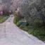 7358 SQM Land for sale in Doros, Limassol thumbnail 14143893