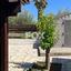 3 bedroom detached house for sale kalo chorio lemesou limassol 1146824 thumbnail 15487827