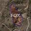 10703 SQM Land for sale in Lasa, Paphos thumbnail 5584731