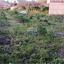 land for sale doros limassol 7507824 thumbnail 14143887