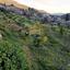 land for sale doros limassol 7507824 thumbnail 14143888