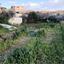 land for sale doros limassol 7507824 thumbnail 14143889