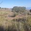 land for sale drousia paphos 1861824 thumbnail 17922460