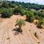 land for sale lysos paphos 1751824 thumbnail 15597620