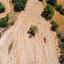 land for sale lysos paphos 1751824 thumbnail 15597621