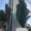 studio building for sale kaimakli nicosia 7935824 thumbnail 11281310