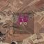 22409 SQM Land for sale in Orounta, Nicosia thumbnail 15156359