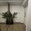 2 bedroom apartment for rent lykavitos nicosia 8821924 thumbnail 16946817