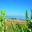 4 bedroom detached house for sale baths of aphrodite paphos 7543034 thumbnail 14761939
