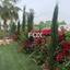 5 bedroom detached house for rent pyrgos limassol limassol 1432034 thumbnail 14869845