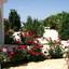 5 bedroom detached house for sale tala paphos 1685034 thumbnail 4407986