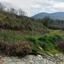 land for sale mandria lemesou limassol 8822034 thumbnail 16950241