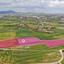 land for sale mazotos larnaca 8019034 thumbnail 12813680