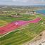 land for sale mazotos larnaca 8019034 thumbnail 12813683