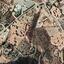 land for sale choirokoitia larnaca 831134 thumbnail 1057062