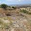land for sale germasogeia limassol 8375134 thumbnail 14609582