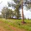 land for sale kaimakli nicosia 8716134 thumbnail 16294306