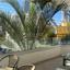 2 bedroom apartment for rent neapolis limassol 8659234 thumbnail 15978570