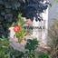 3 bedroom detached house for sale aradippou larnaca 1819234 thumbnail 15319807