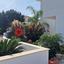 3 bedroom detached house for sale aradippou larnaca 1819234 thumbnail 15319808