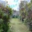 4 bedroom detached house for sale larnaca municipality larnaca 7820234 thumbnail 10673267