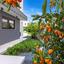 5 bedroom detached house for rent agios athanasios limassol 8160234 thumbnail 16232702