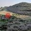 12375 SQM Land for sale in Avdellero, Larnaca thumbnail 6317703