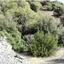 land for sale foinikaria limassol 1932234 thumbnail 14473181