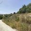 6690 SQM Land for sale in Simou, Paphos thumbnail 15598210