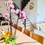 2 bedroom apartment for rent aradippou larnaca 8645334 thumbnail 16147744