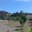 6 bedroom detached house for sale kalo chorio larnacas larnaca 1530334 thumbnail 5478166