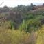 land for sale argaka paphos 8500334 thumbnail 16071746