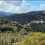 land for sale dora limassol 8140334 thumbnail 15595818