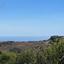 land for sale ineia paphos 8337334 thumbnail 14341088