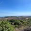 land for sale ineia paphos 8337334 thumbnail 15432963