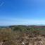 land for sale ineia paphos 8337334 thumbnail 15432965