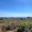 land for sale ineia paphos 8337334 thumbnail 15432969