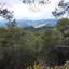 land for sale prodromos limassol 8926334 thumbnail 17615320